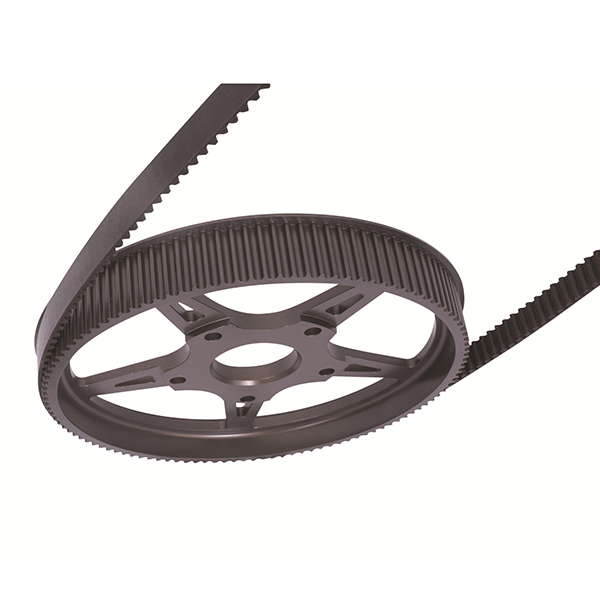Cinturão de tempo de carbono de motocicleta