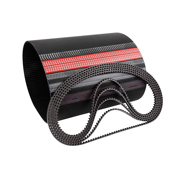 Correia de tempo de carbono de bicicleta