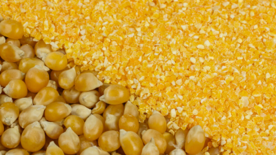 Qual é a diferença entre um moinho de rolos vs. Mill de martelo?
